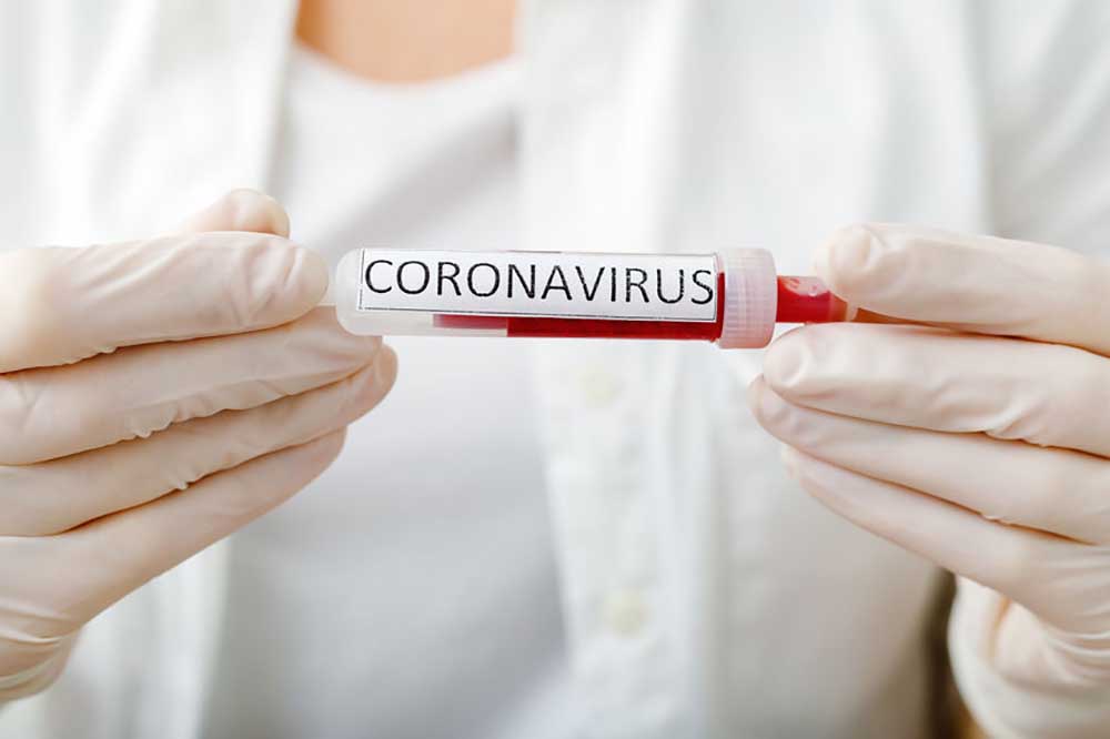koronavírus eredete