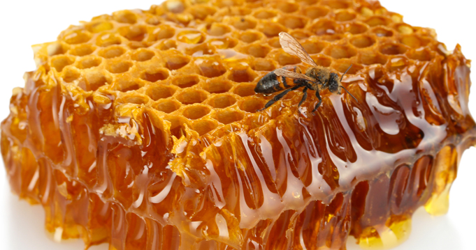 halott méhek kezelése a cukorbetegségtől)
