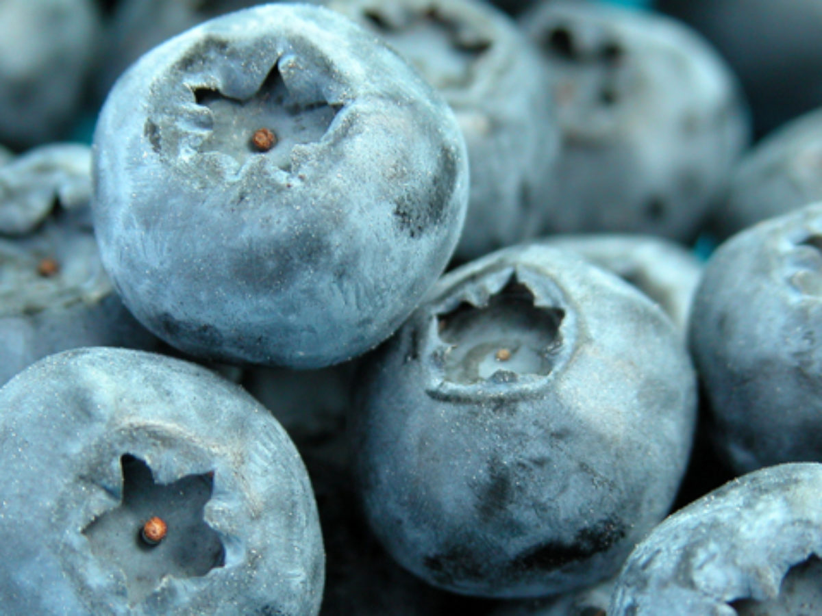 cukorbetegség kezelés blueberry)