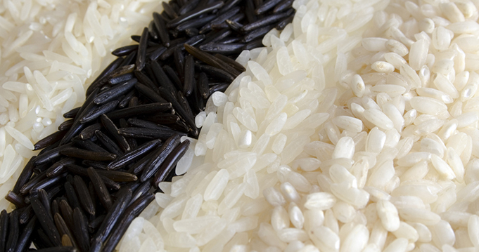 Haruharu Wonder Black Rice Serum