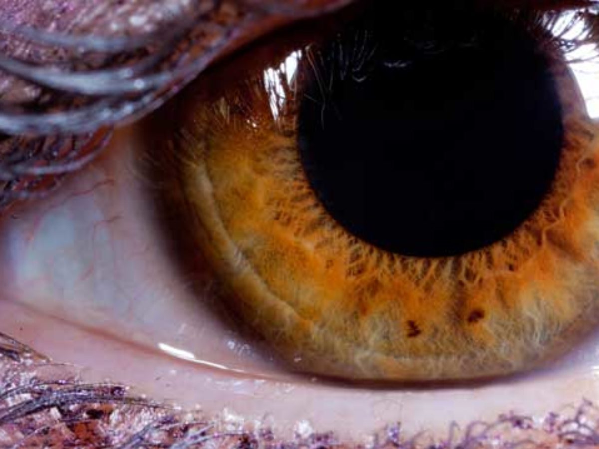 betűk a szem kiképzéséhez milyen előnyei vannak a látásnak