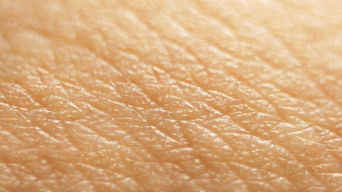 Bakteriális bőrfertőzés kezelésére szolgáló készítmény