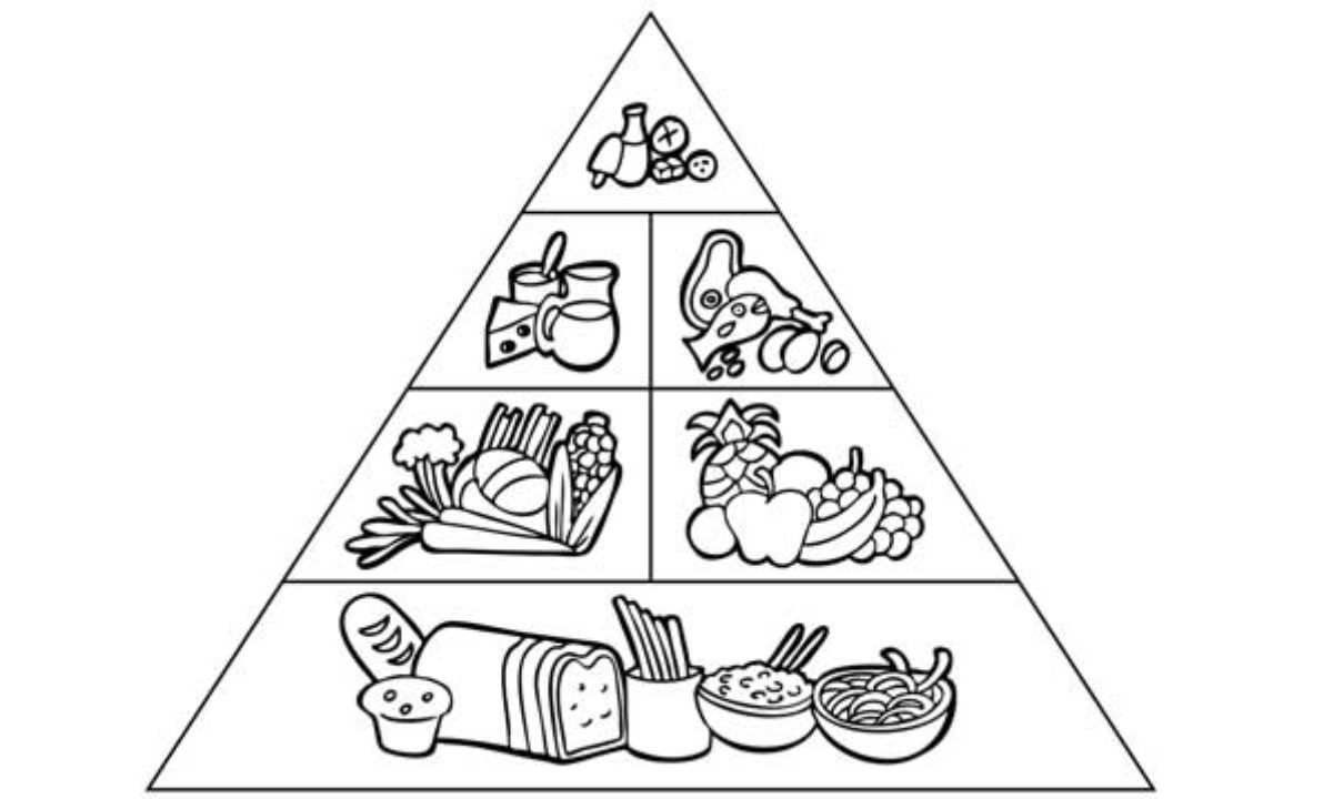 ránctalanító és öregedő táplálkozási piramis