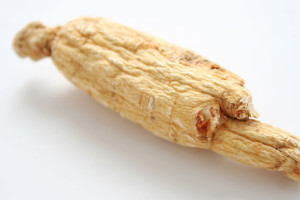 ginseng