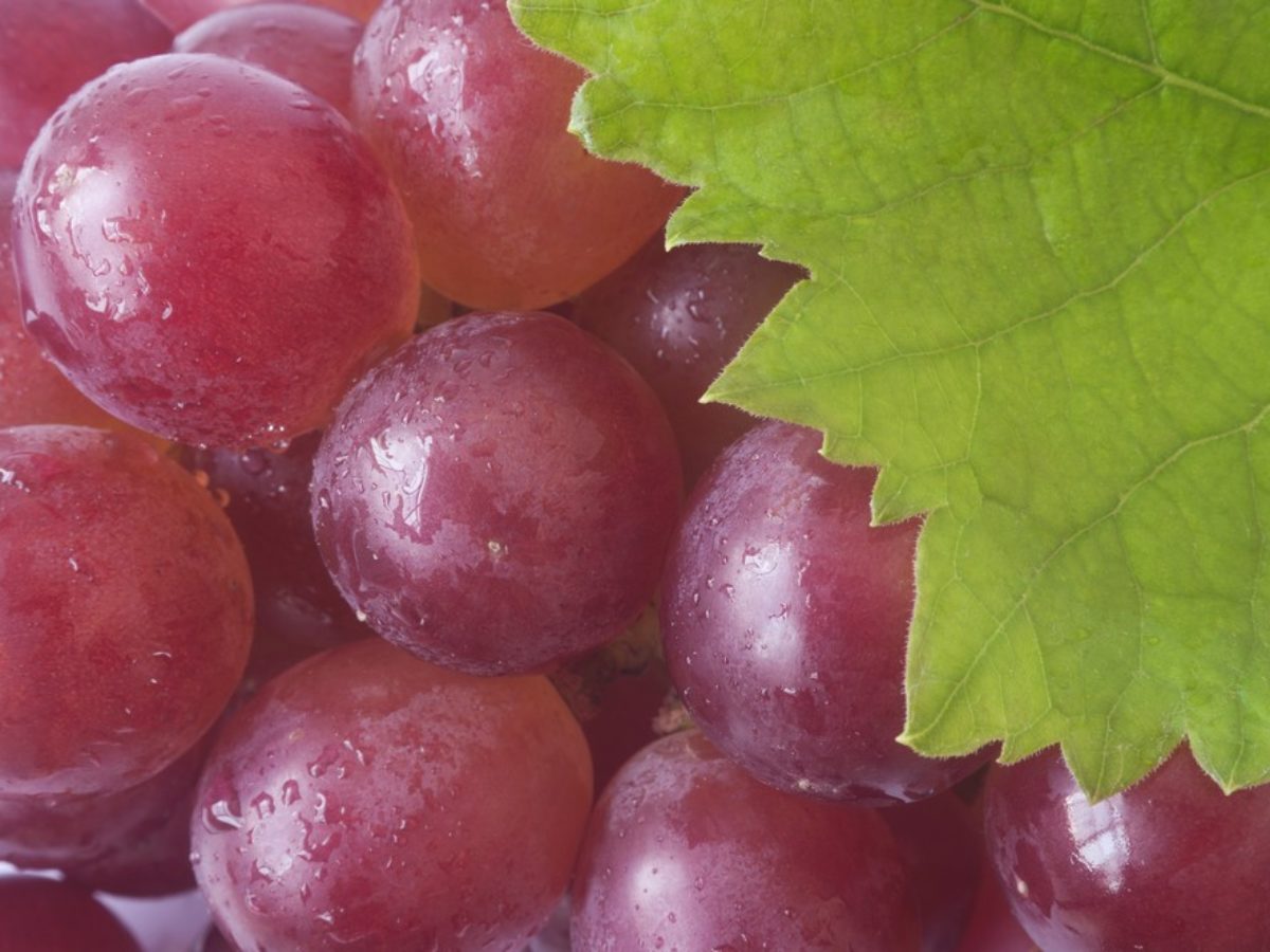 A szőlő egészséges?