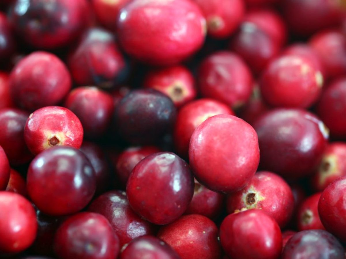 cranberries a cukorbetegség kezelésében