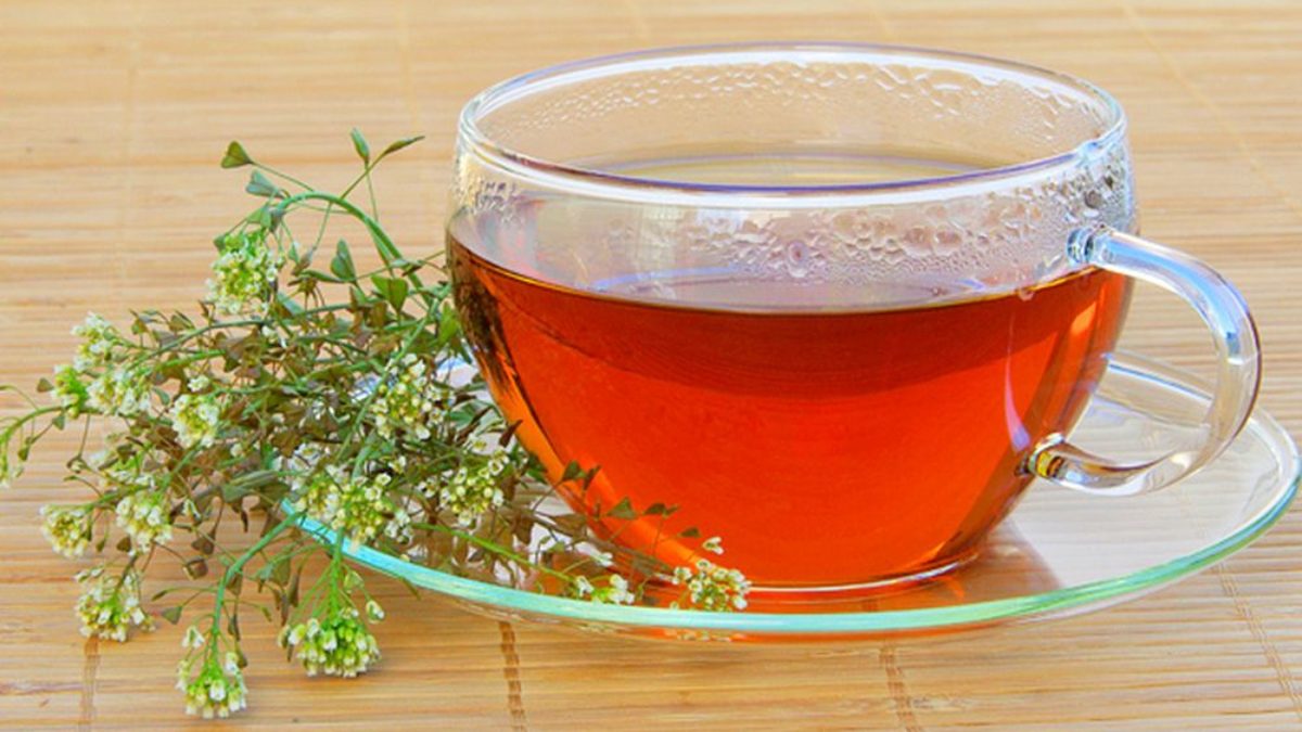 Természetes tea, amely miatt lefogy, Gyógynövények fogyáshoz - ezeket ajánlja Szabó Gyuri bácsi
