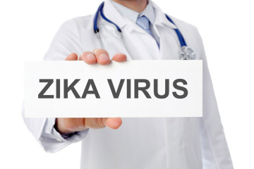 zikavirus, kisfejuseg