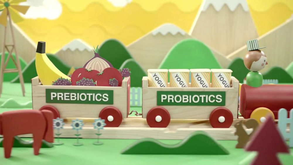 prebiotikum, probiotikum 