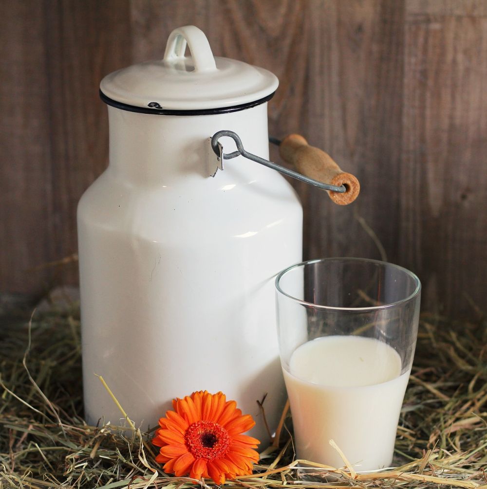 kecske tej a prosztatitisre Az íj segít a prosztatitisben