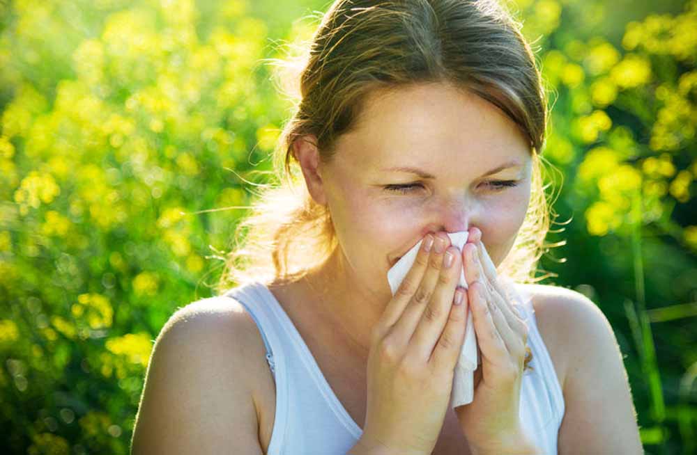 allergia, pollen, orrfolyás