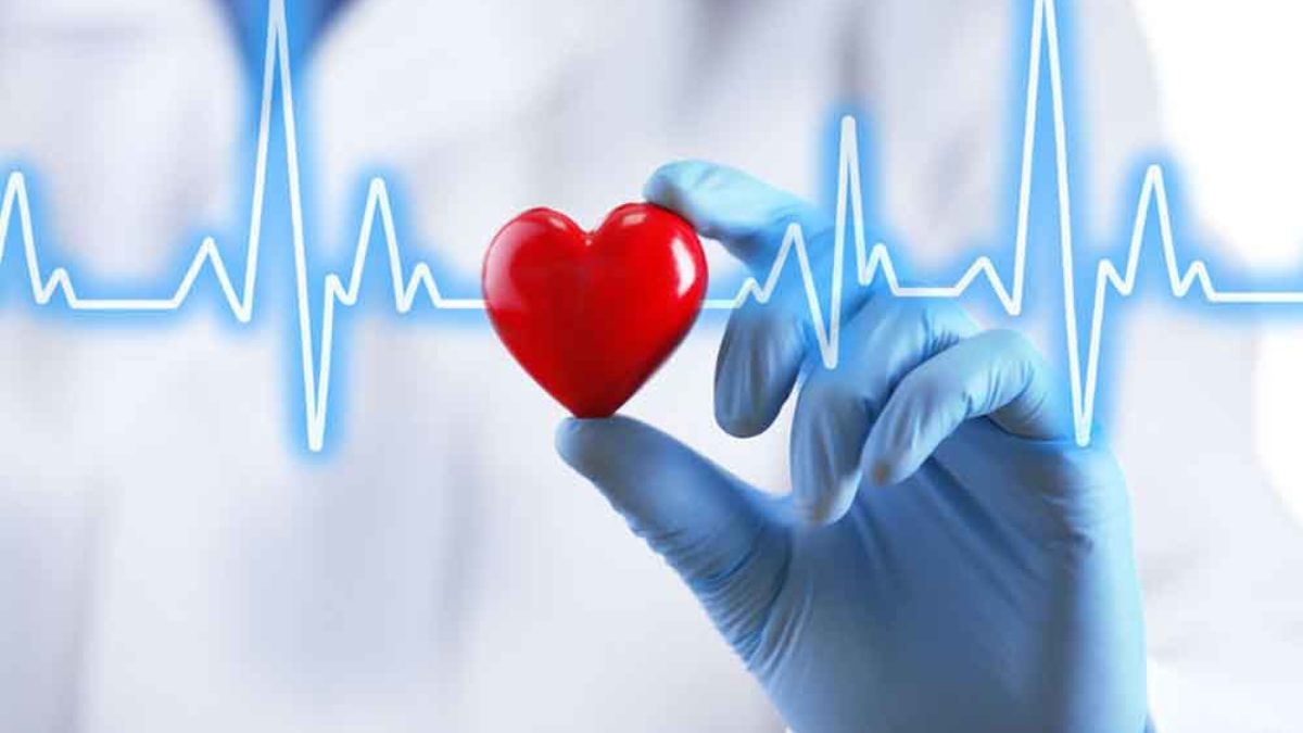 hogyan lehet tesztelni a szív egészségét