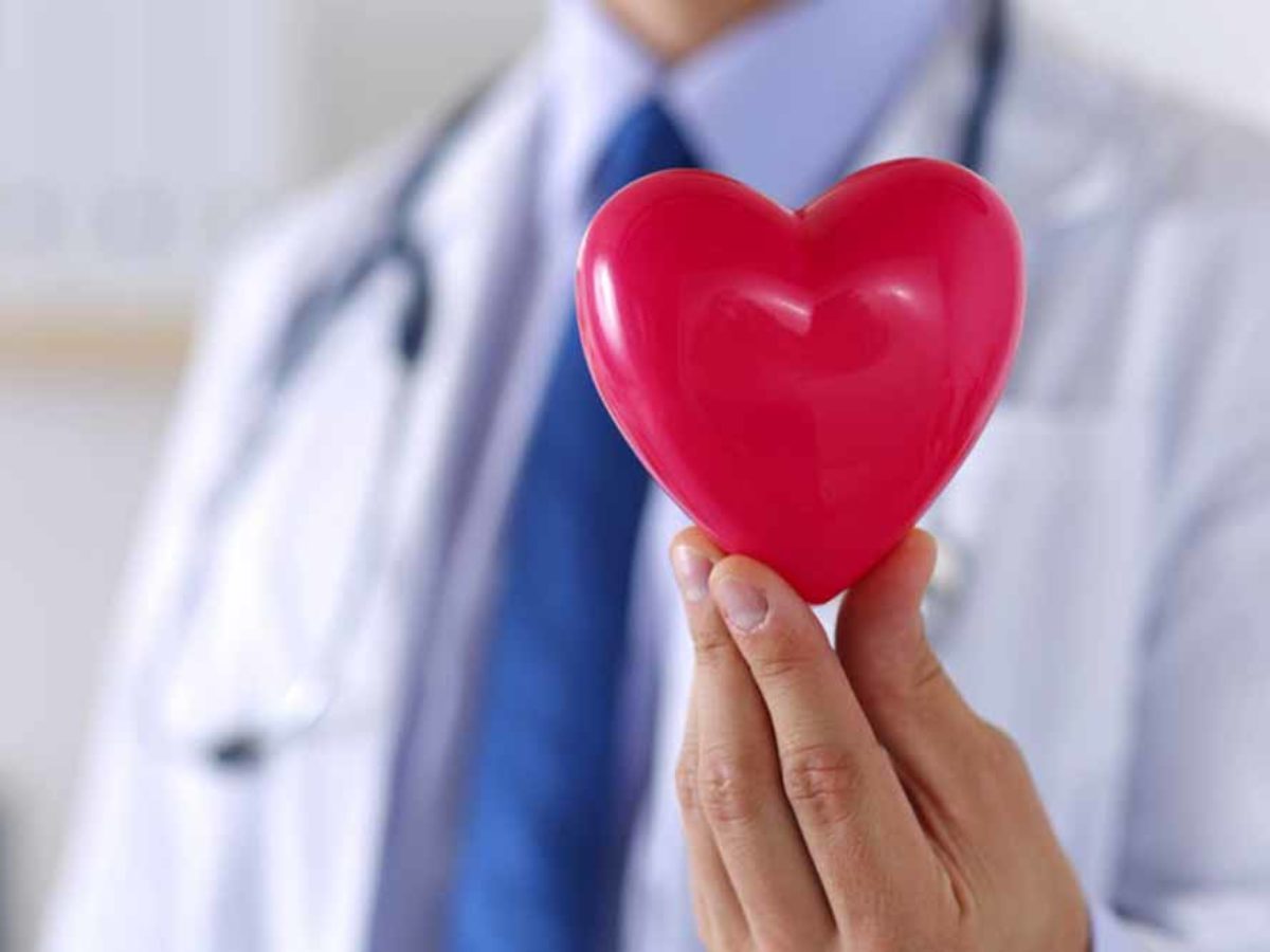 echocardiogram szív egészsége
