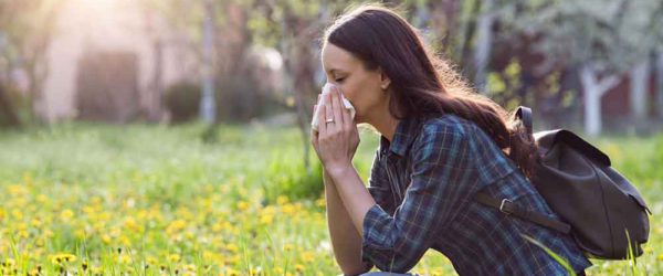 allergia, pollen, parlagfű