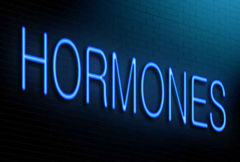 mellékvese hormon diéta hatékony diéták az 5 kg-os fogyáshoz
