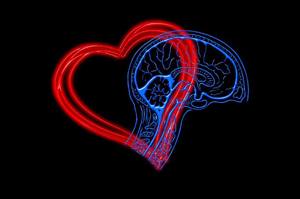 Szív és lélek - a szívbetegségek pszichés hátteréről