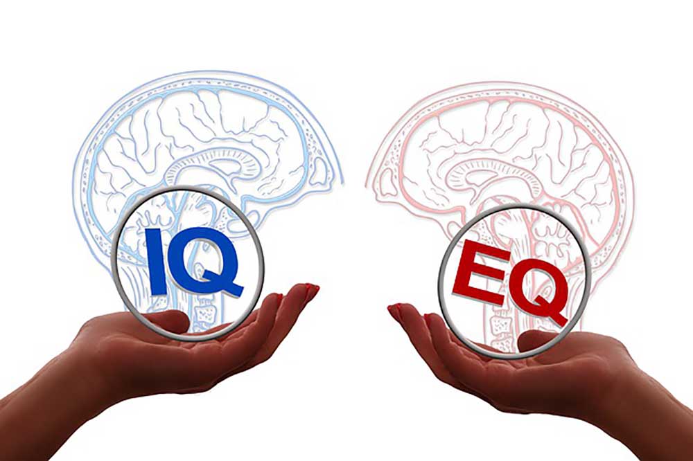 IQ EQ