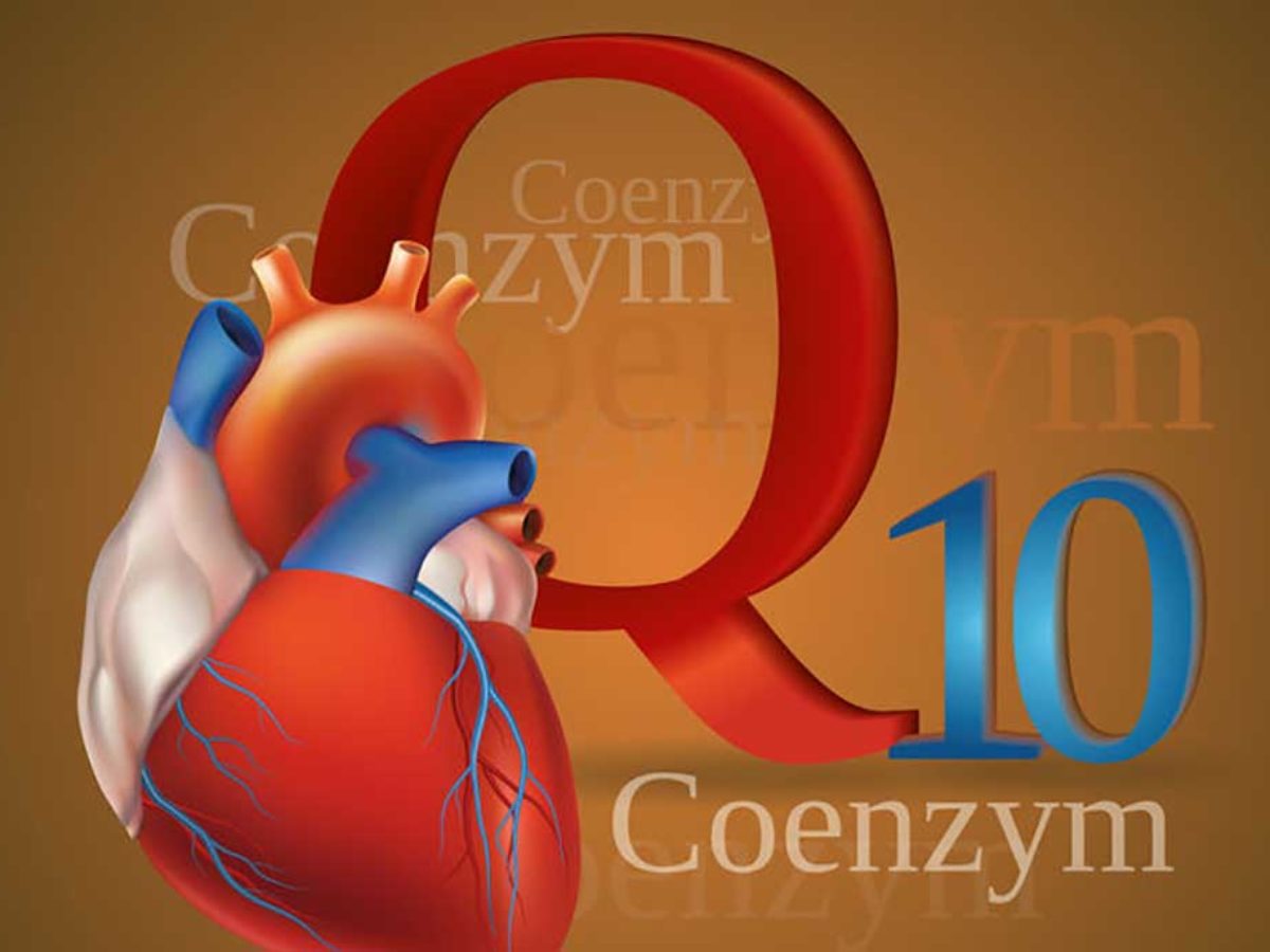 kardiovaszkuláris co enzim egészség szív q10 tanulmány