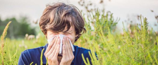 allergia, pollen, szénanátha
