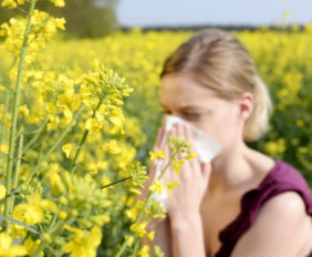 pollen, allergia