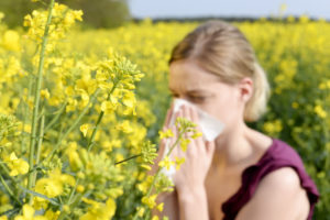 pollen, allergia