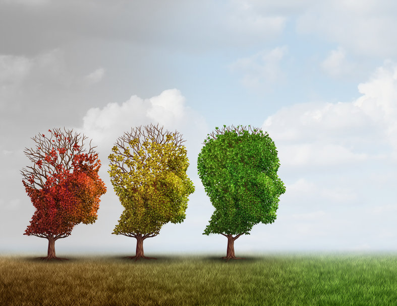 mi a különbség a demencia és az alzheimer kór között