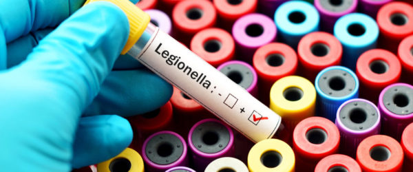 legionella, baktérium