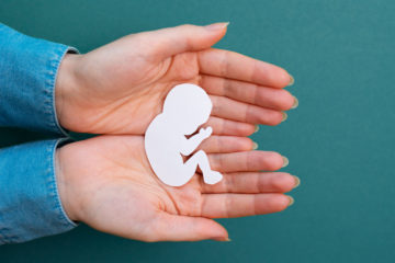embrió, magzat, vetélés