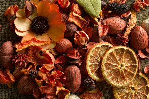 Potpourri