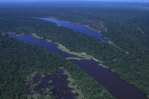 amazonas2